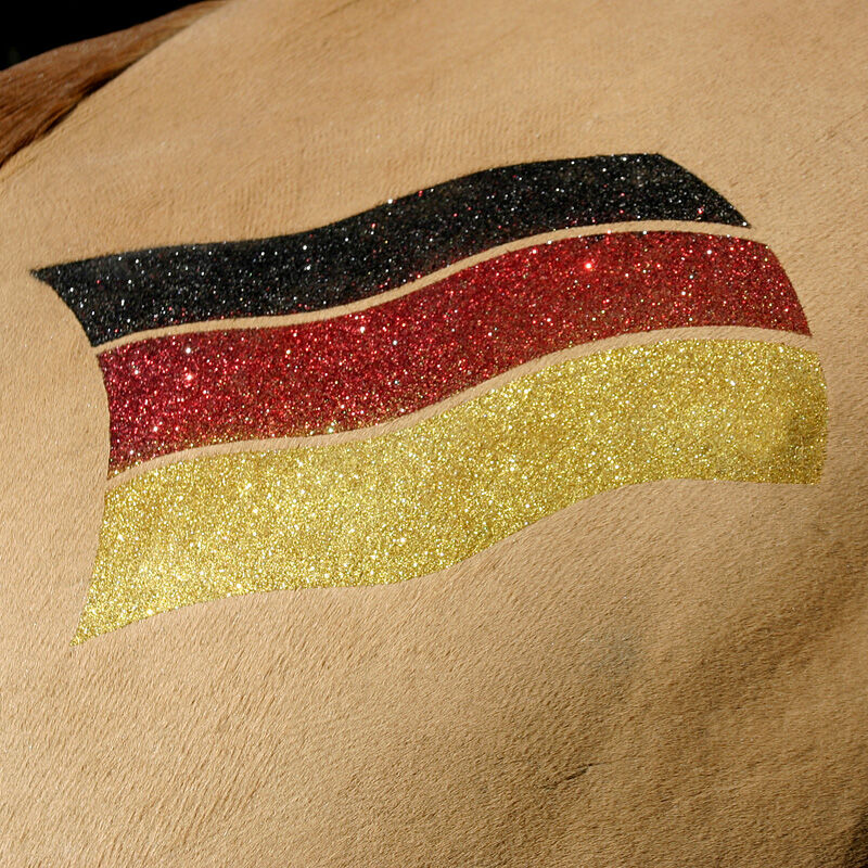 Tricolour Glitter Quarter Marker Kit